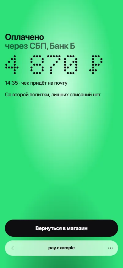 Телефон: оплачено через СБП со второй попытки